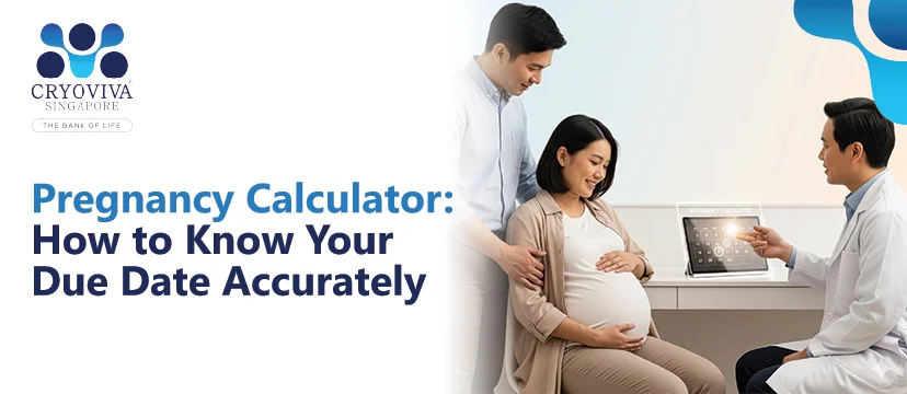 pregnancy-calculator-how-to-know-your-due-date-accurately